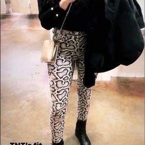 Zara Snake Print Pants